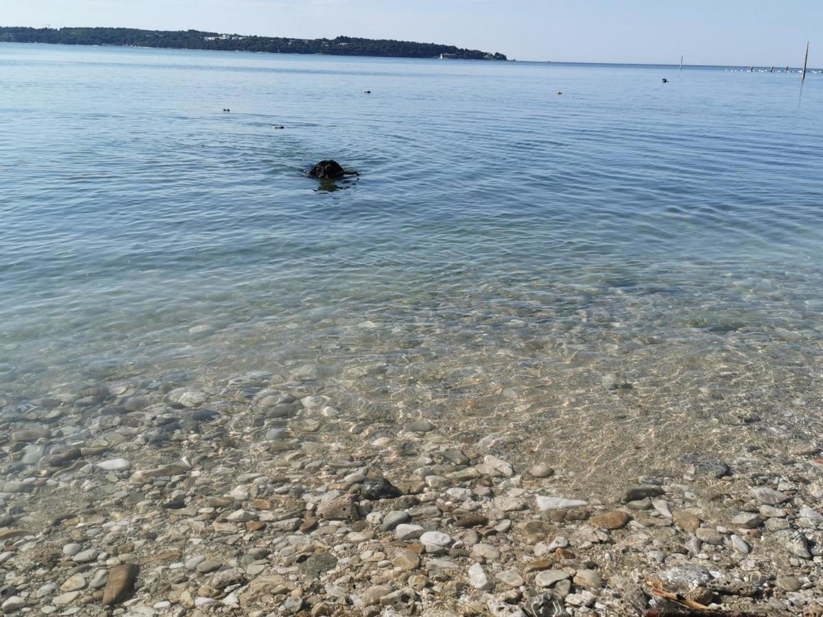 Lora Deluxe Superior 5 Star Apartment, Your Piece Of Heaven By The Sea & Park With Sea & Park View Novigrad Istria Eksteriør billede