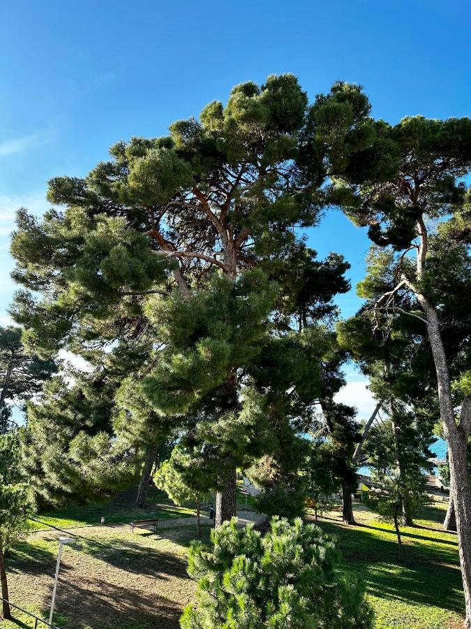 Lora Deluxe Superior 5 Star Apartment, Your Piece Of Heaven By The Sea & Park With Sea & Park View Novigrad Istria Eksteriør billede